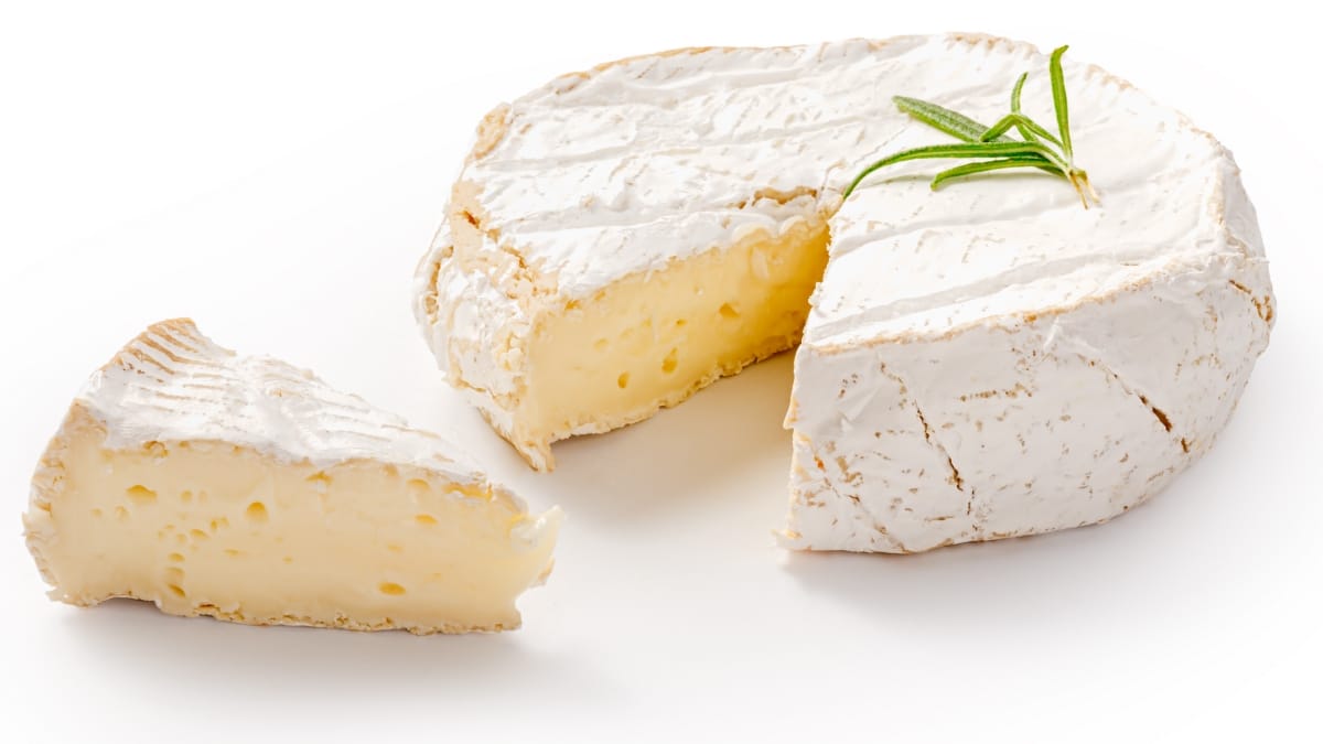 camembert