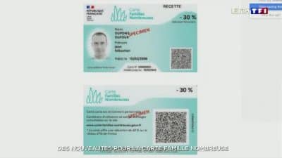 Carte famille nombreuse