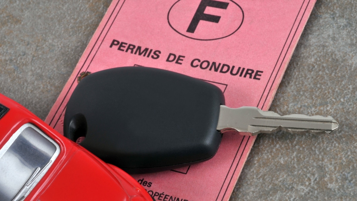 permis de conduire