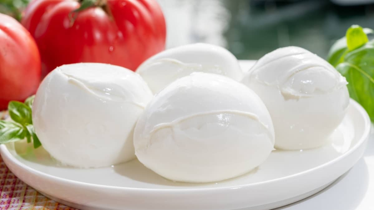 mozzarella