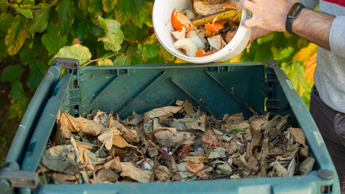 Bacs à compost