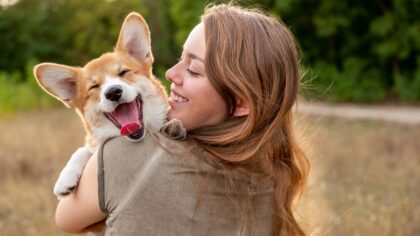 chien préféré des français