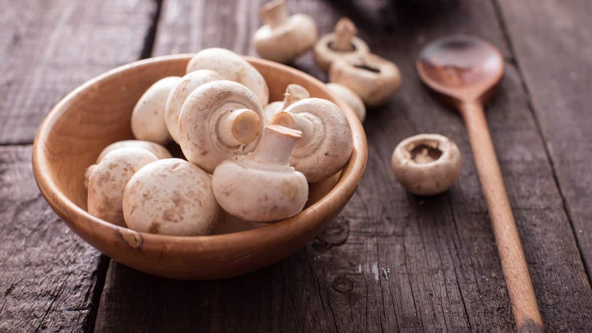 Ce rappel produit concerne des champignons de Paris