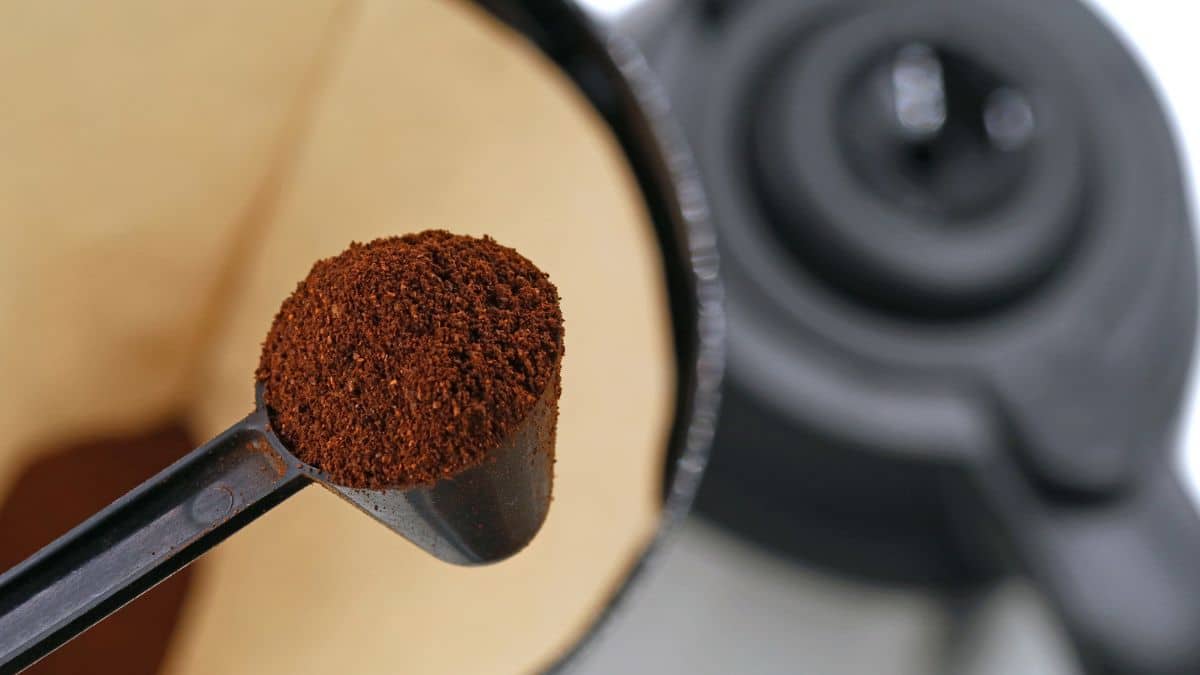 Ce rappel produit concerne un modèle de cafetière à filtre