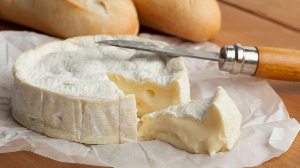 Gare au camembert contaminé