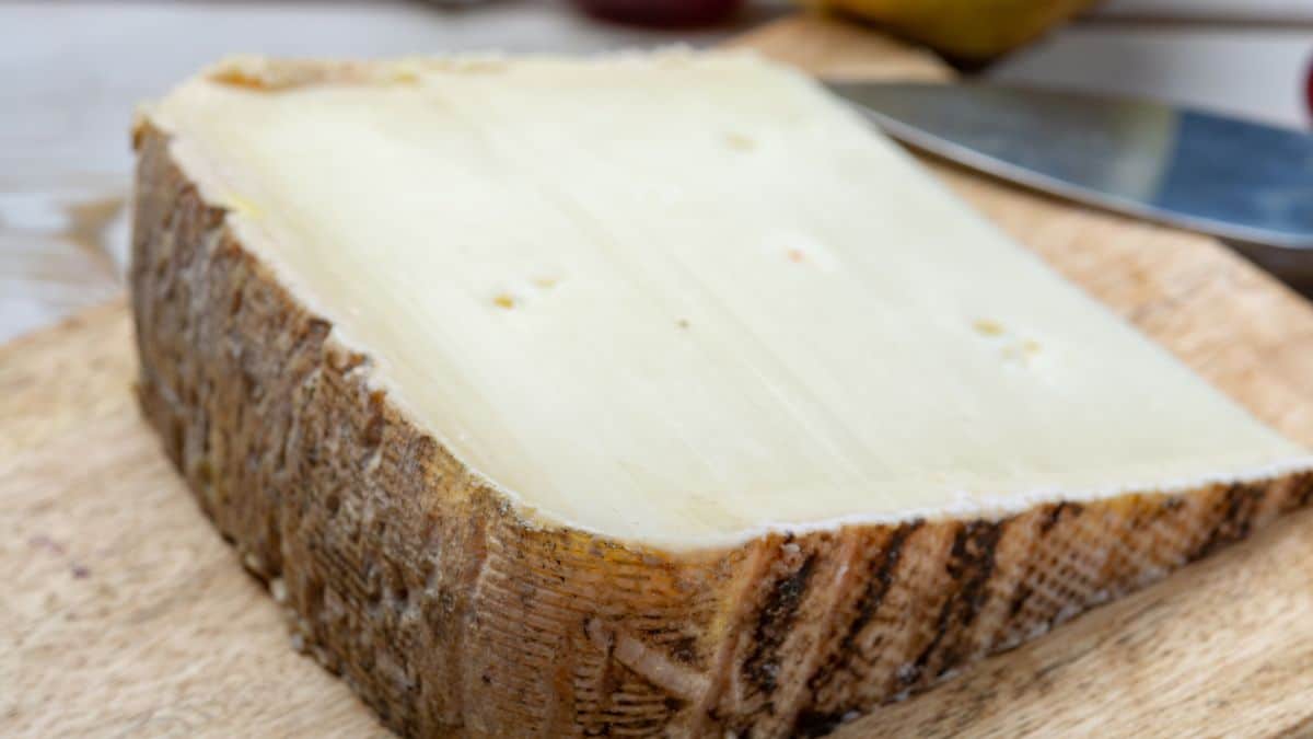 Gare à cette tomme de brebis