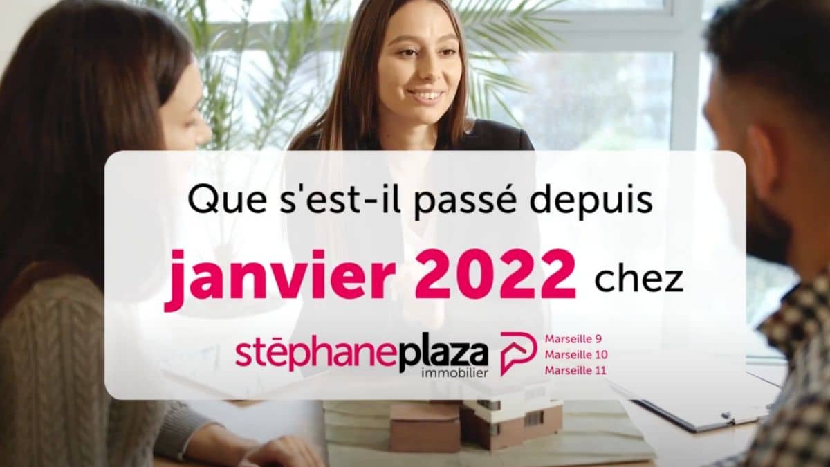 Stéphane Plaza avait lancé son réseau immobilier en 2015