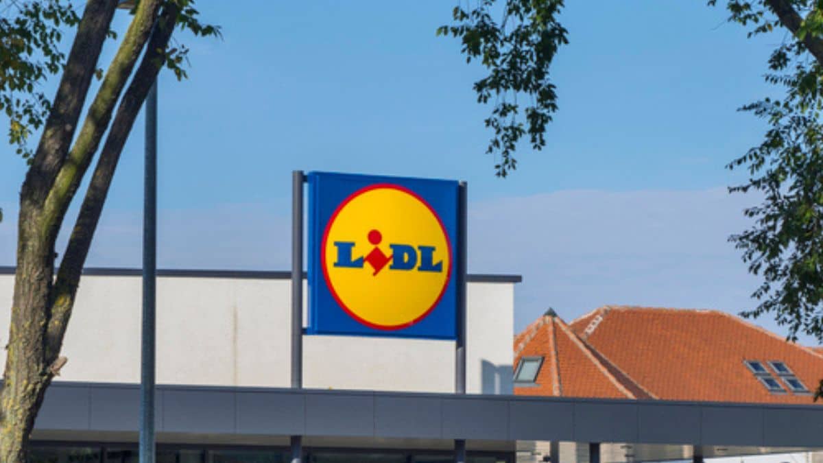 Lidl propose différentes sortes de pains