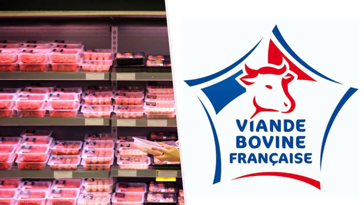 Une grande surface et le logo Viande bovine française