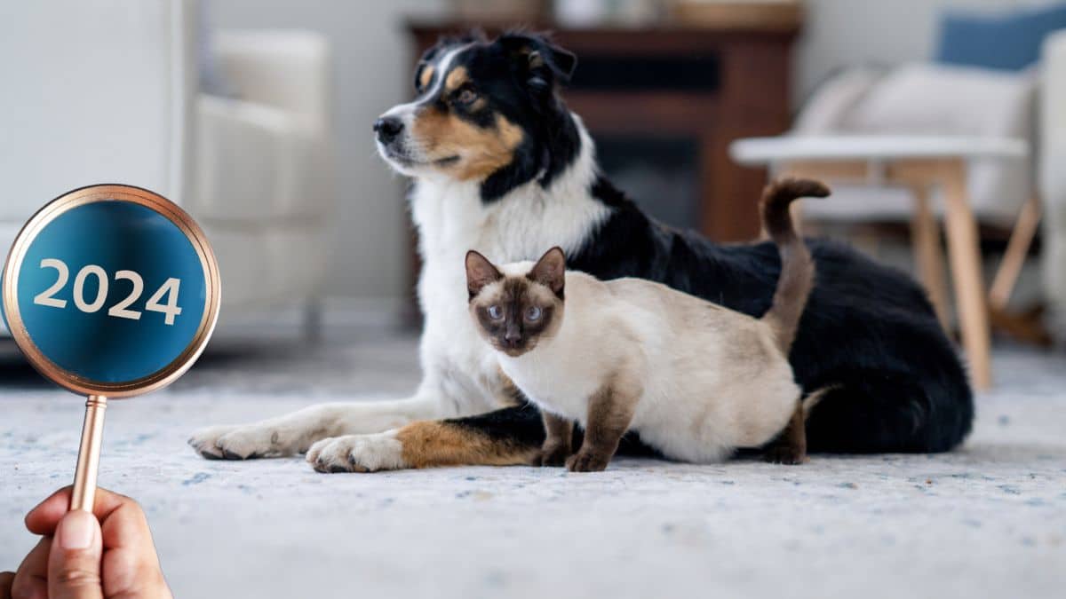 Les prénoms des animaux en 2024