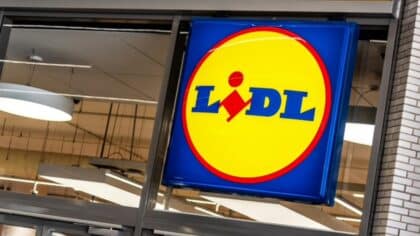 Lidl porc