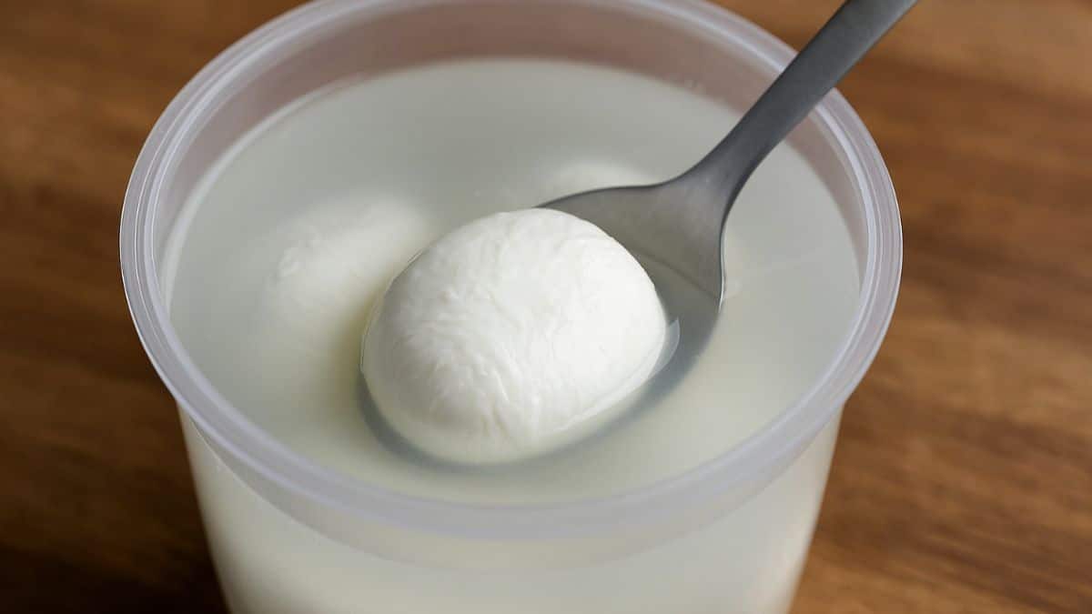 Récipient transparent rempli de mozzarella dans son eau, avec une cuillère et un fond en bois rustique.