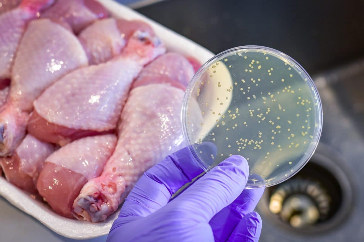 Listeria : ces lots de saucissons Bio sont impropres à la consommation