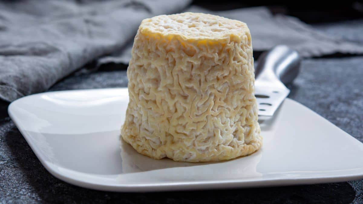 Gare à ce fromage Chabichou du Poitou