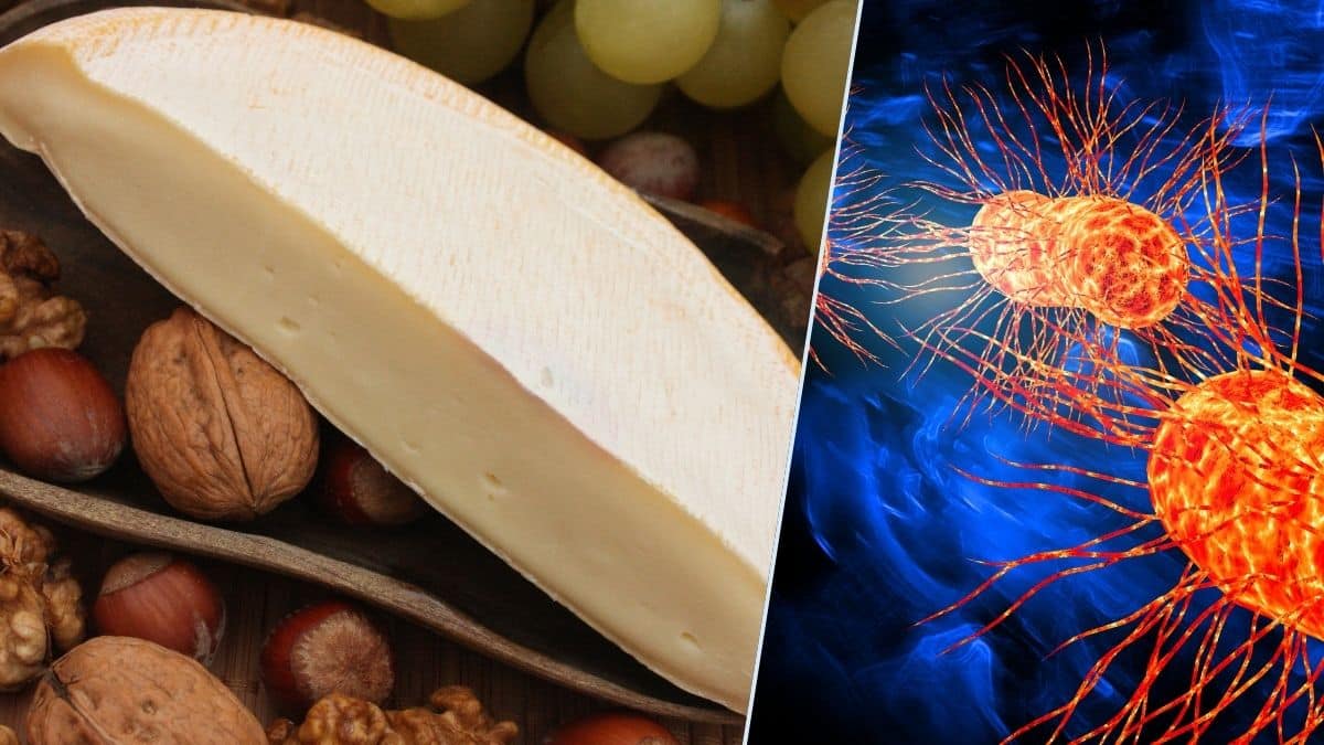 Ce fromage contient une bactérie dangereuse