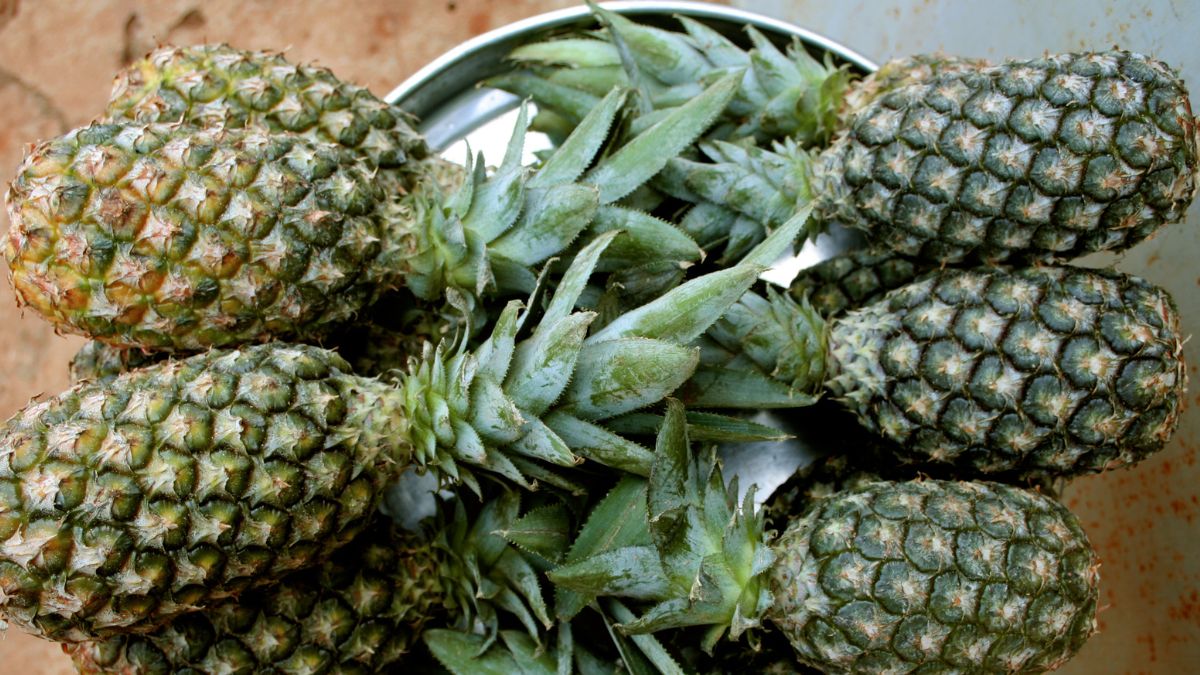Ces ananas pourraient vous causer de mauvaises surprises